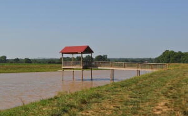 Pictures of Land property located at North Farm Road 175, Springfield, MO 65803 for sales - image #1