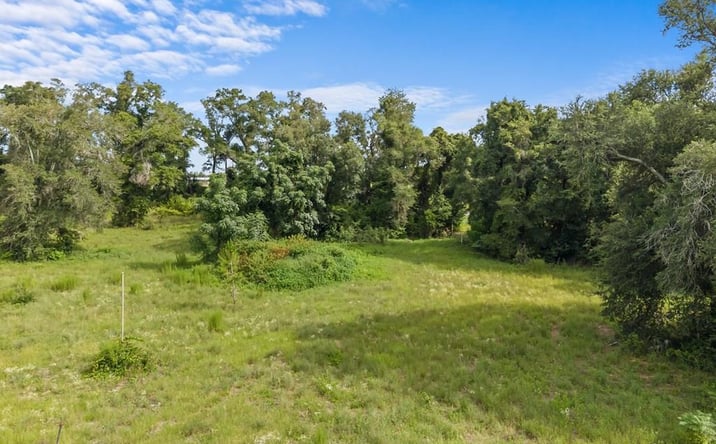 Pictures of Land property located at W Us Hwy 27, Mayo, FL 32066 for sales - image #1