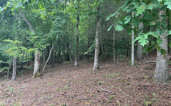 Pictures of Land property located at Lt 14 Fiddlers Cove, Blairsville, GA 30512 for sales - image #1