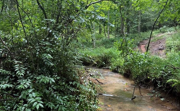 Pictures of Land property located at TBD Pinelog Church Road, Brasstown, NC 28902 for sales - image #1