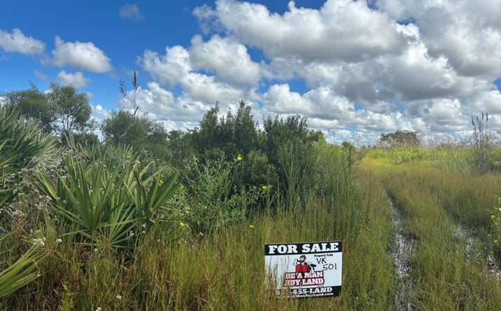 Pictures of Land property located at NW 316th St, Okeechobee, FL 34972 for sales - image #1