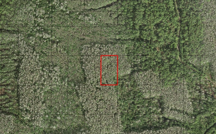 Pictures of Land property located at Holopaw Groves Rd, St. Cloud, FL 34772 for sales - image #1