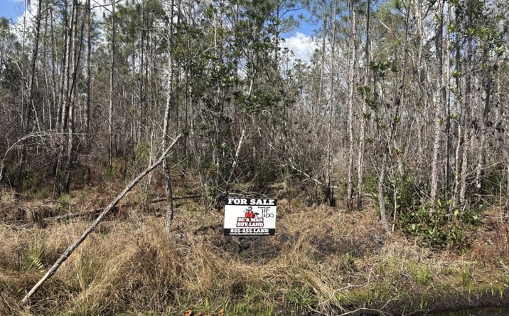 Pictures of Land property located at Holopaw Groves Rd, St. Cloud, FL 34771 for sales - image #1