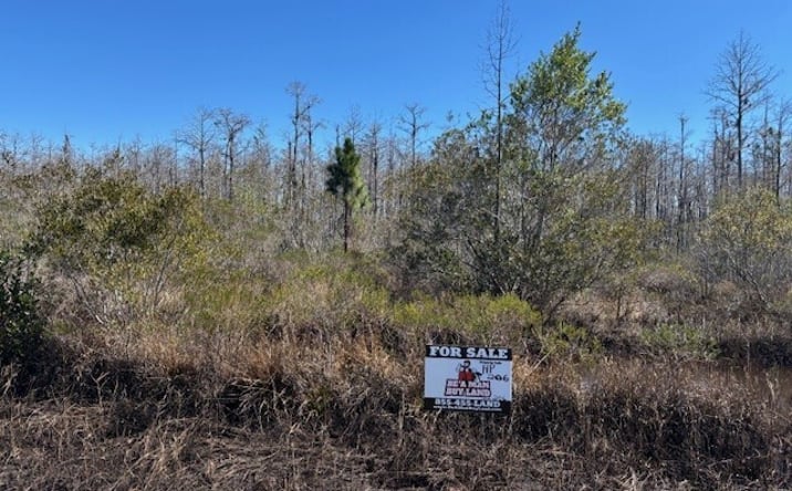 Pictures of Land property located at Holopaw Groves Rd, St. Cloud, FL 34772 for sales - image #1