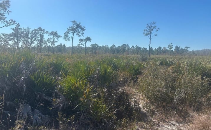 Pictures of Land property located at CLE87, Frostproof, FL 33843 for sales - image #1