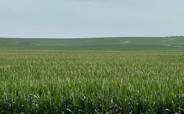 Pictures of Land property located at Sec 2 Lynn Grove Township, Lynnville, IA 50251 for sales - image #1