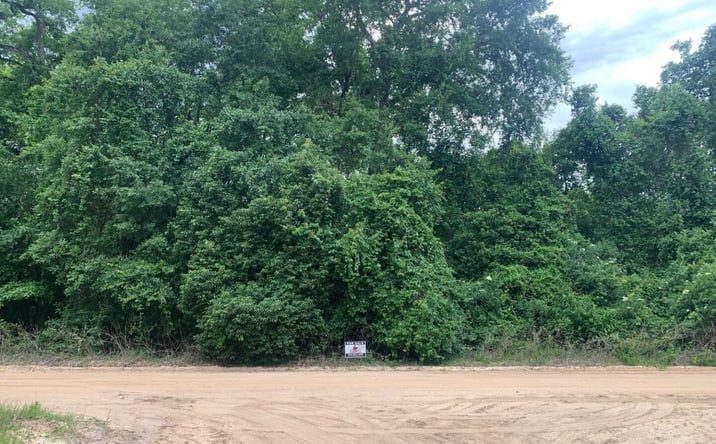 Pictures of Land property located at Ida Blvd, Interlachen, FL 32148 for sales - image #1