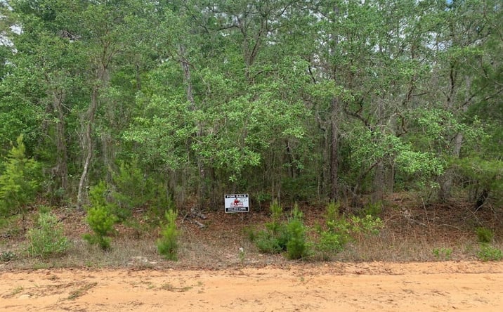 Pictures of Land property located at David Ave, Interlachen, FL 32148 for sales - image #1