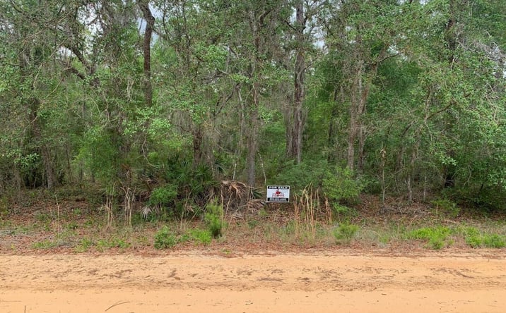 Pictures of Land property located at David Ave, Interlachen, FL 32148 for sales - image #1