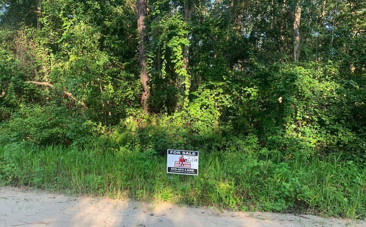 Pictures of Land property located at Ida Blvd, Interlachen, FL 32148 for sales - image #1