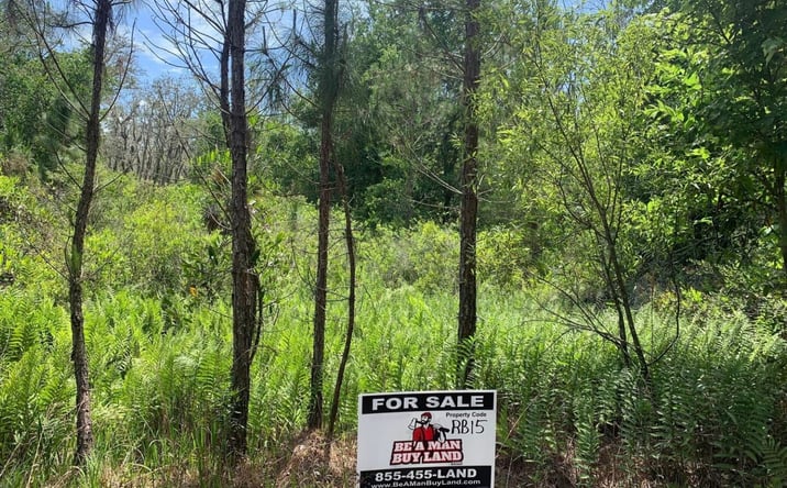 Pictures of Land property located at Kathleen Rd, Kathleen, FL 33849 for sales - image #1