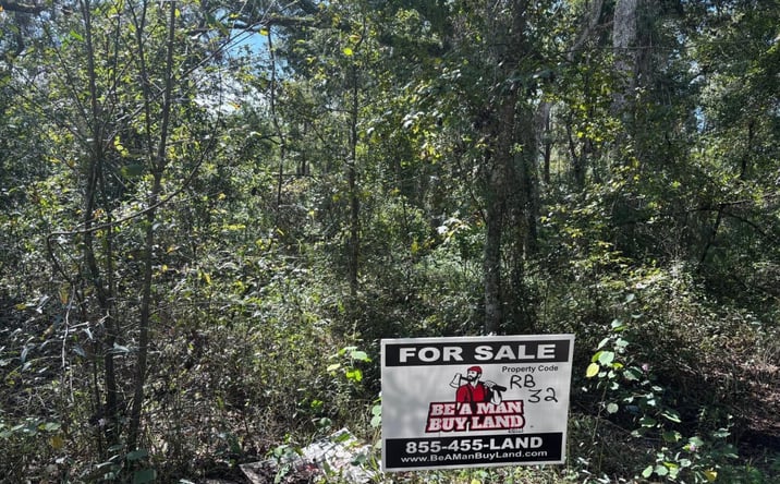 Pictures of Land property located at RB32 1.26 acres, Kathleen, FL 33849 for sales - image #1