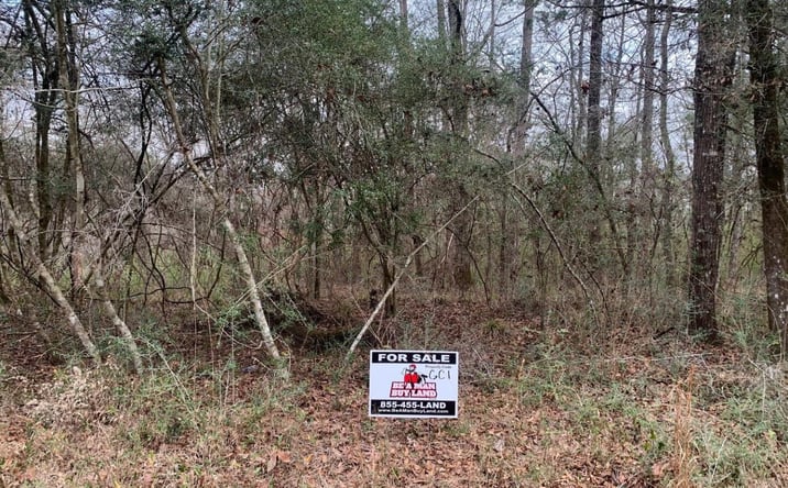 Pictures of Land property located at Griffin Circle, Westville, FL 32464 for sales - image #1