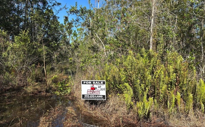 Pictures of Land property located at HOLOPAW GROVES RD, Saint Cloud, FL 34772 for sales - image #1