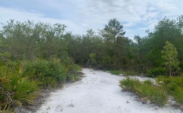 Pictures of Land property located at HOLOPAW GROVES RD, Saint Cloud, FL 34772 for sales - image #1