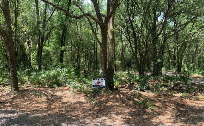 Pictures of Land property located at Kathleen, FL 33849, Kathleen, FL 33849 for sales - image #1