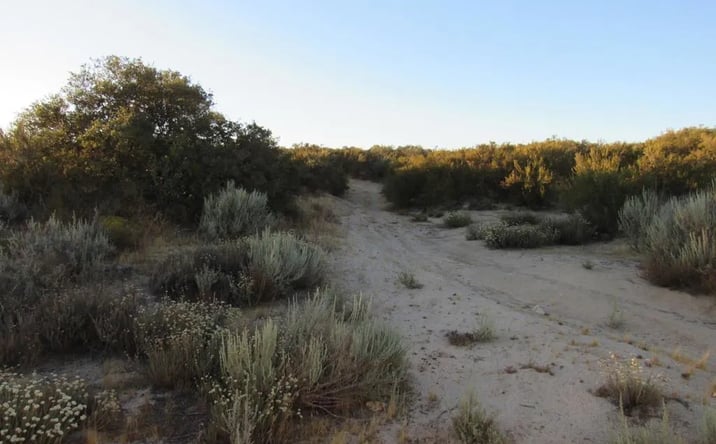 Pictures of Land property located at 109 Highway 94, Boulevard, CA 91905 for sales - image #1