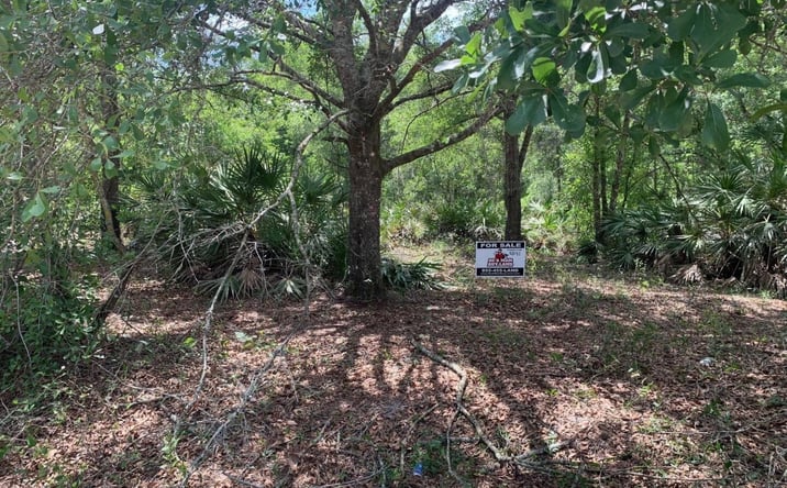 Pictures of Land property located at Kathleen, FL 33849, Kathleen, FL 33849 for sales - image #1