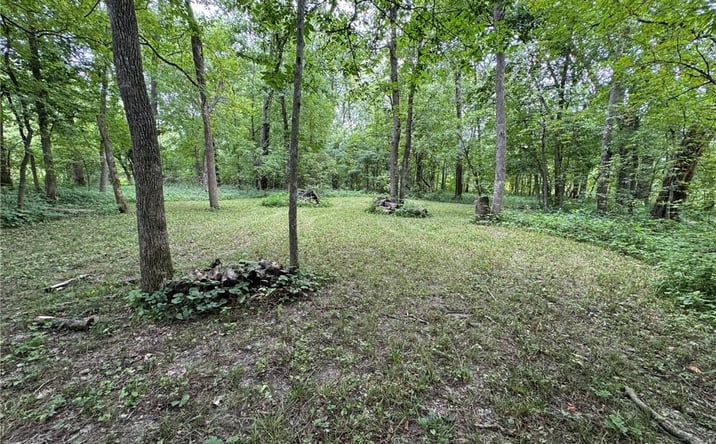 Pictures of Land, Special Purpose property located at TBD Cedar Avenue, Coffey, MO 64636 for sales - image #1