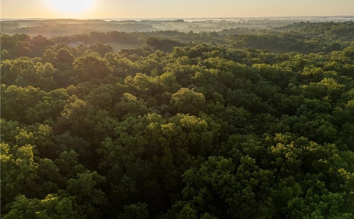 Pictures of Land, Special Purpose property located at E 192nd Street, Richmond, MO 64085 for sales - image #1