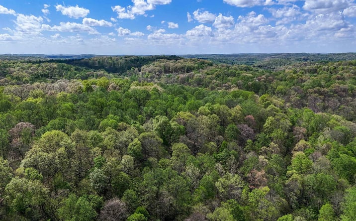Pictures of Land property located at 10127 W County Road 160 N, West Baden Springs, IN 47469 for sales - image #1