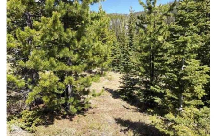 Pictures of Land property located at nhn Corral Gulch Road, CLANCY, MT 59634 for sales - image #1