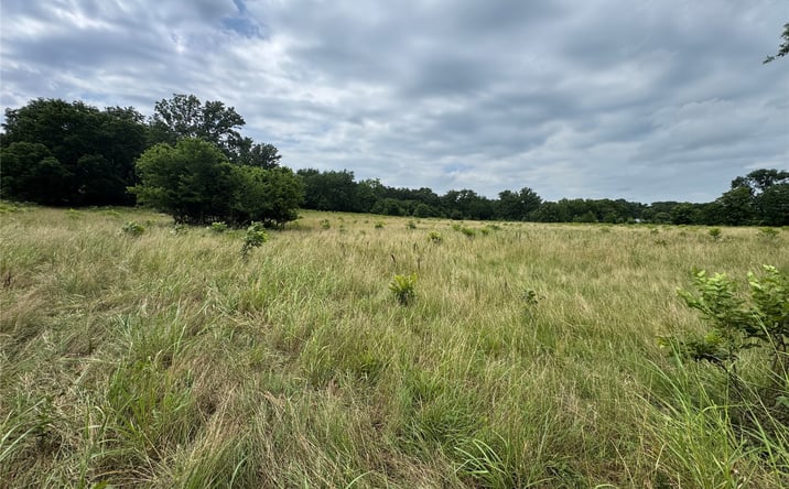 Pictures of Land property located at Hwy 28, Nowata, OK 74048 for sales - image #1