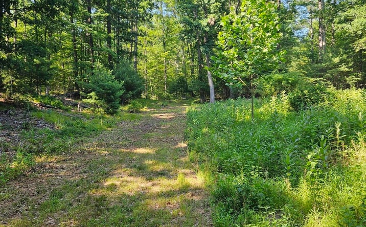 Pictures of Land, Special Purpose property located at Hearts Content Road, Round Top, NY 12473 for sales - image #1