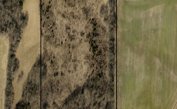 Pictures of Land property located at 805 W State Highway 146, Golcanda, IL 62938 for sales - image #1