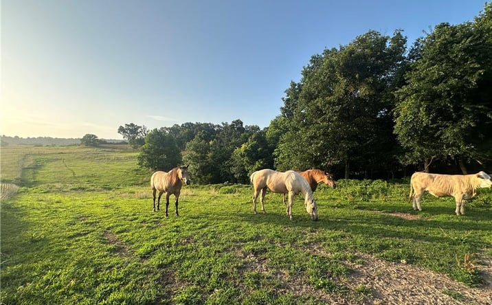 Pictures of Land property located at TBD Madison 7615 Road, Huntsville, AR 72740 for sales - image #1