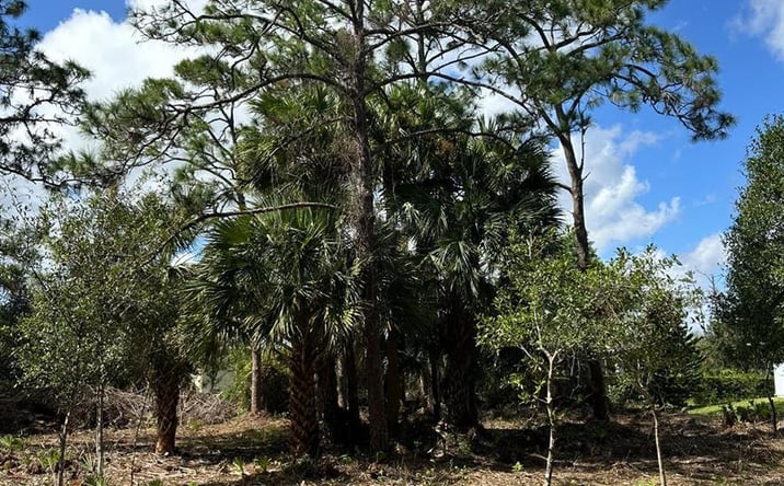 Pictures of Land property located at 9125 106TH Avenue, Vero Beach, FL 32967 for sales - image #1