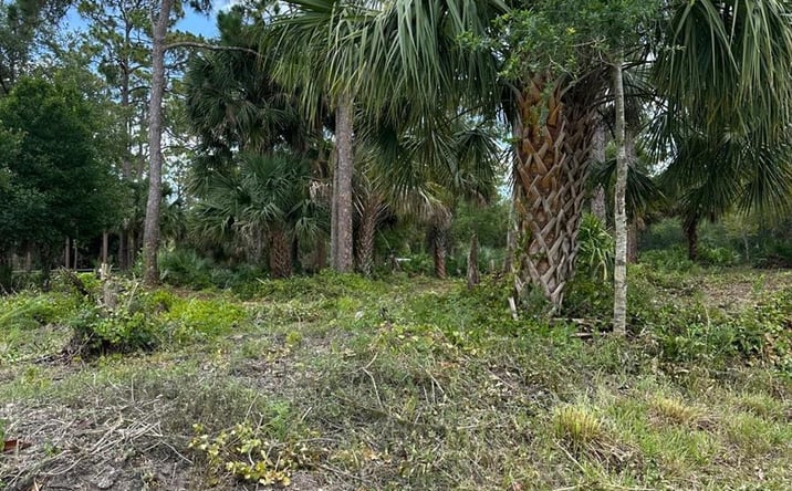 Pictures of Land property located at 10620 91st Street, Vero Beach, FL 32967 for sales - image #1