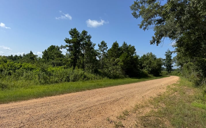 Pictures of Land property located at 32 Sauls Road, Ruth, MS 39662 for sales - image #1