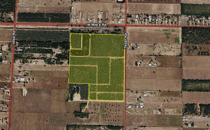 Pictures of Land property located at Texan Road S. of Mile 6 Line, Mission, TX 78574 for sales - image #1