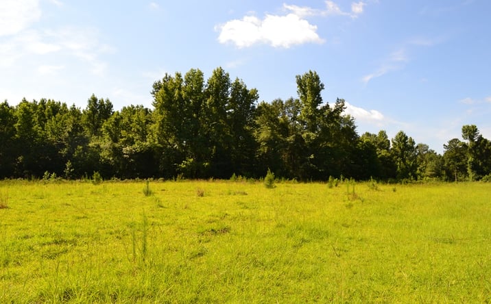 Pictures of Mixed Use, Land property located at Bishop Lane, Midville, GA 30441 for sales - image #1