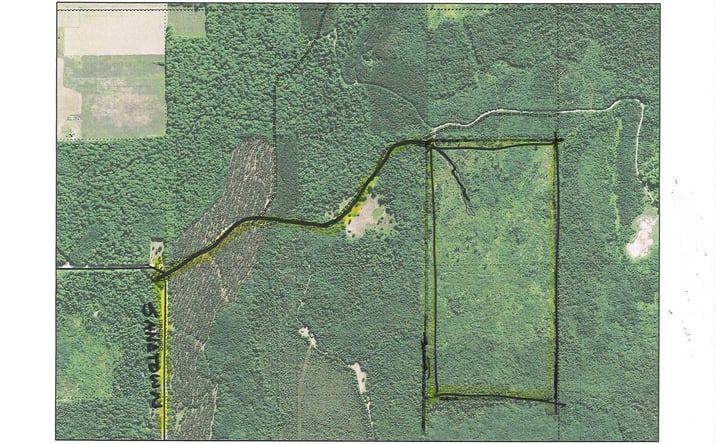 Pictures of Land property located at Off Sandtown Road, Curtis, MI 49820 for sales - image #1