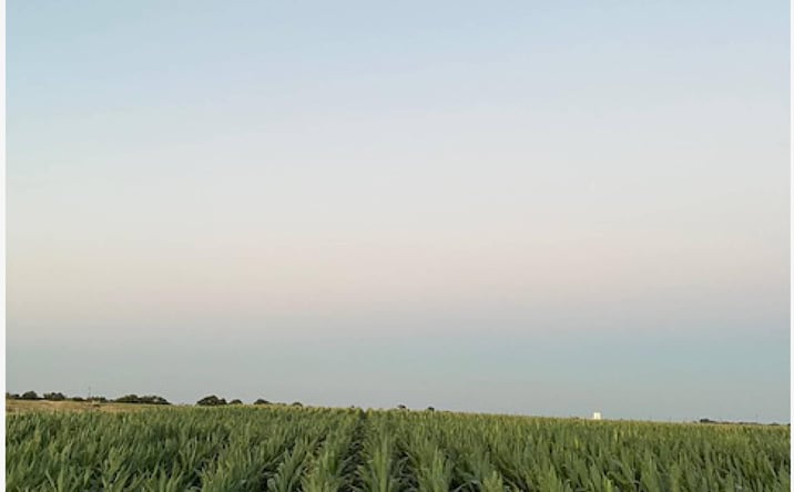 Pictures of Land property located at 19366 South Lammers Road, Tracy, CA 95304 for sales - image #1