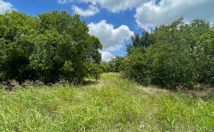 Pictures of Retail, Special Purpose property located at 5368 Turnout Lane, Dallas, TX 75236 for sales - image #1
