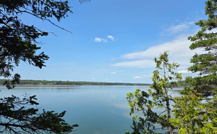 Pictures of Land property located at 18 Leach Point Road, Perry, ME 04667 for sales - image #1