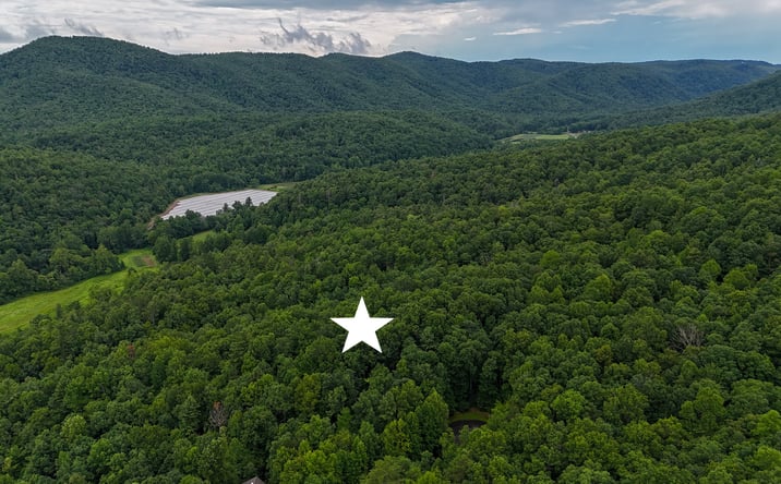 Pictures of Land property located at 365 BIG BEAR TR, ZIRCONIA, NC 28790 for sales - image #1