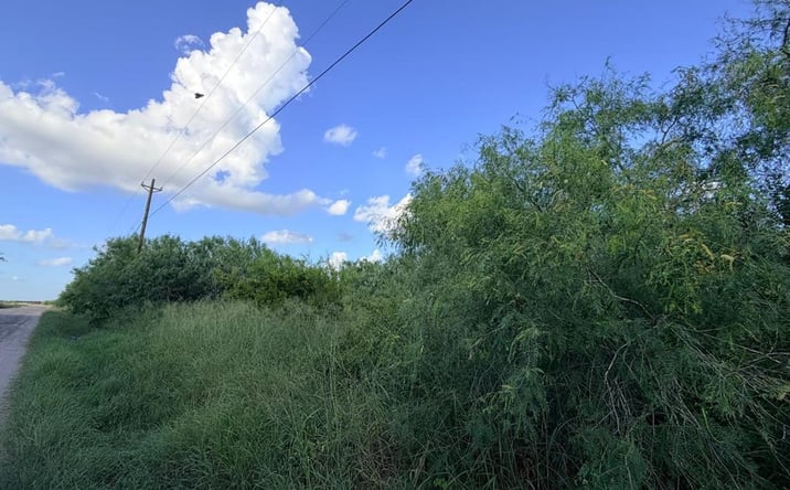 Pictures of Land, Multifamily property located at 3 Los Ranchos Rd., San Benito, TX 78586 for sales - image #1