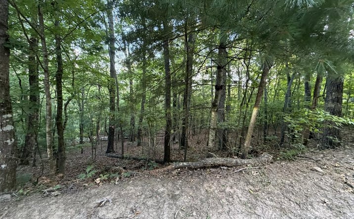 Pictures of Land property located at Lot 46 Fox Run Drive, Blue Ridge, GA 30513 for sales - image #1