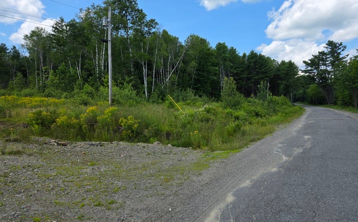 Pictures of Land property located at 249 Smith Ridge Road, Charlotte, ME 04666 for sales - image #1