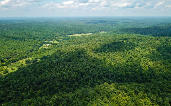 Pictures of Land property located at 0 S. Hurricane Creek Rd., Linden, TN 37096 for sales - image #1