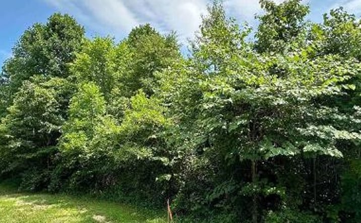 Pictures of Land property located at TBD S County Road 500 W, Sulphur, IN 47118 for sales - image #1
