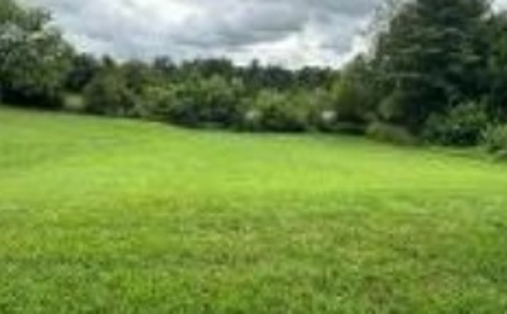 Pictures of Land property located at TBD Dixie Highway, Mitchell, IN 47446 for sales - image #1