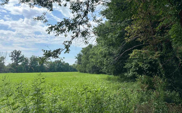 Pictures of Land property located at TBD State Road 161, Rockport, IN 47635 for sales - image #1