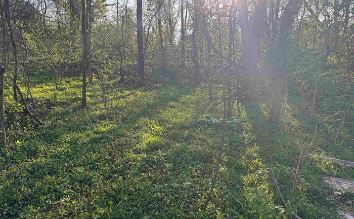 Pictures of Land property located at 614 F Street, Bedford, IN 47421 for sales - image #1