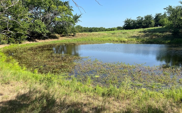 Pictures of Land property located at 12490 N Muncrief Road, Kingston, OK 73439 for sales - image #1
