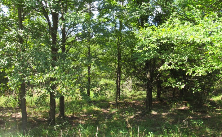 Pictures of Land property located at N 4710 Road, Watts, OK 74964 for sales - image #1